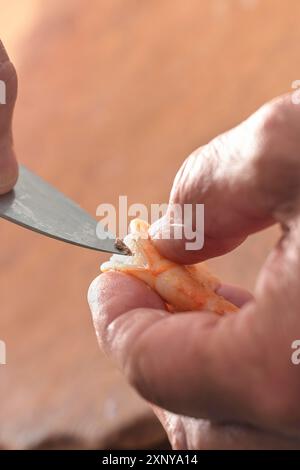 Main tenant une crevette et enlève les intestins avec un couteau, préparation pour la cuisson d'un repas de fruits de mer, espace de copie, gros plan, focus sélectionné, très étroit Banque D'Images