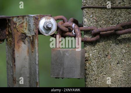 Portail de jardin en métal altéré, fermé avec une chaîne rouillée et un vieux cadenas sur un fond vert, espace de copie, mise au point sélectionnée, profondeur étroite de Banque D'Images