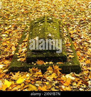 Une pierre tombale couverte de mousse dans un cimetière recouvert de feuilles d'automne tombées, mettant en valeur la nature et la texture dans un cadre calme Banque D'Images