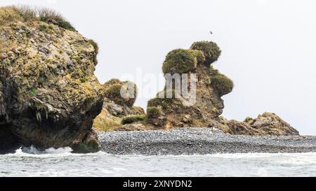 Site du patrimoine naturel Islotes de Punihuil, Punihuil, Chiloé, Chili Banque D'Images