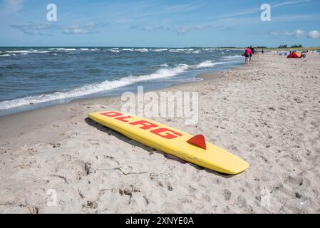 Une planche de sauvetage de l'Association allemande de sauvetage DLRG se trouve sur la plage de sable de la mer Baltique, planche de sauvetage, planche de surf, image symbolique Banque D'Images