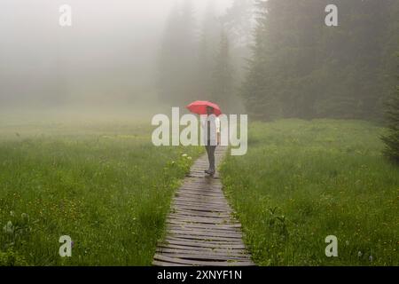 Femme 60-65 avec parapluie dans le Huehnermoos par un jour nuageux avec du brouillard, une haute lande à Soellereck près d'Oberstdorf, Allgaeu Alpes, Allgaeu, Bavière Banque D'Images