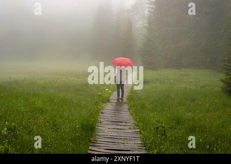 Femme 60-65 avec parapluie dans le Huehnermoos par un jour nuageux avec du brouillard, une haute lande à Soellereck près d'Oberstdorf, Allgaeu Alpes, Allgaeu, Bavière Banque D'Images