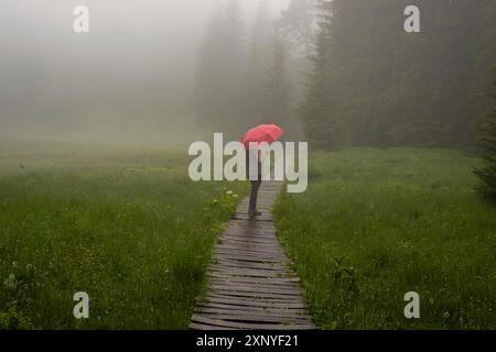 Femme 60-65 avec parapluie dans le Huehnermoos par un jour nuageux avec du brouillard, une haute lande à Soellereck près d'Oberstdorf, Allgaeu Alpes, Allgaeu, Bavière Banque D'Images