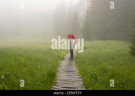 Femme 60-65 avec parapluie dans le Huehnermoos par un jour nuageux avec du brouillard, une haute lande à Soellereck près d'Oberstdorf, Allgaeu Alpes, Allgaeu, Bavière Banque D'Images