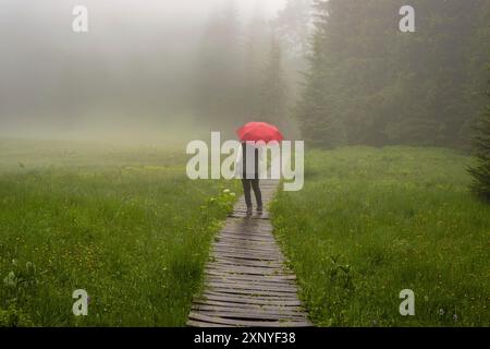 Femme 60-65 avec parapluie dans le Huehnermoos par un jour nuageux avec du brouillard, une haute lande à Soellereck près d'Oberstdorf, Allgaeu Alpes, Allgaeu, Bavière Banque D'Images