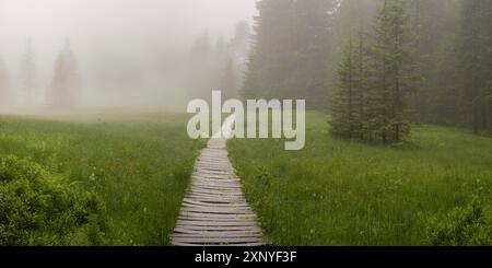 Huehnermoos par un jour nuageux avec du brouillard, une haute lande à Soellereck près d'Oberstdorf, Alpes d'Allgaeu, Allgaeu, Bavière, Allemagne Banque D'Images