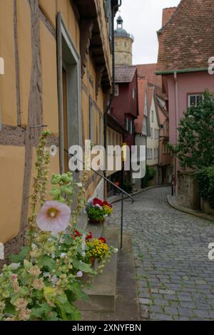Fleur de mauve dans la Pfarrgasse, pavés, maison à colombages, maison à colombages, tenue Michael, Michaelskirche, Schwaebisch Hall, Hohenlohe Banque D'Images