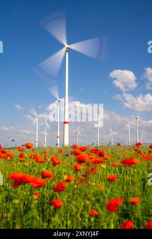 Ferme éolienne, champ avec bandes de fleurs, frontière de champs avec fleurs mélangées, coquelicots, nord de Marsberg, Hochsauerlandkreis, nord Banque D'Images