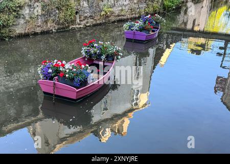 Des bateaux à rames décoratifs contenant des paniers de fleurs colorés flottent sur le canal français. Banque D'Images