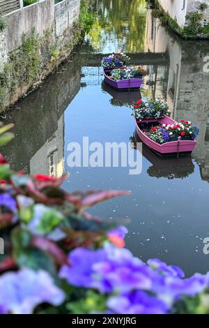 Plan vertical de bateaux à rames décoratifs contenant des paniers de fleurs colorés flottant sur un canal français. Banque D'Images