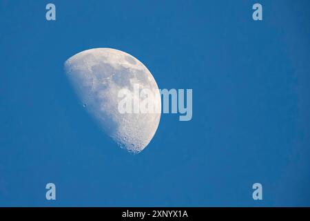 Lune, lune de trois quarts à la cire, Wagbachniederung, Bade-Wuertemberg, Allemagne Banque D'Images