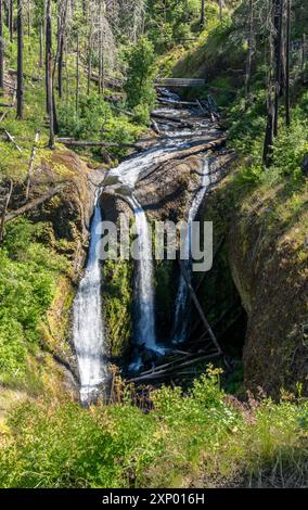 Tripple Falls, comté de Multnomah, Oregon, États-Unis Banque D'Images