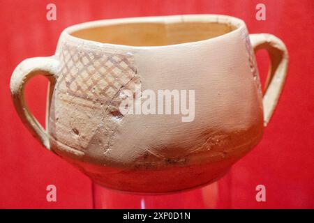 Salle d'entomologie, Museo Comarcal de Molina de Aragon, Guadalajara, Espagne Banque D'Images