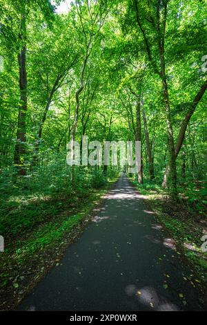 Piste cyclable et passerelle à travers le Stadtwald à Hanovre, Allemagne Banque D'Images