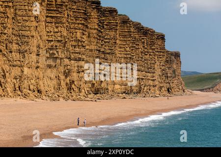 Falaises de West Bay sur la côte jurassique du Dorset sur la côte sud de l'Angleterre. Banque D'Images