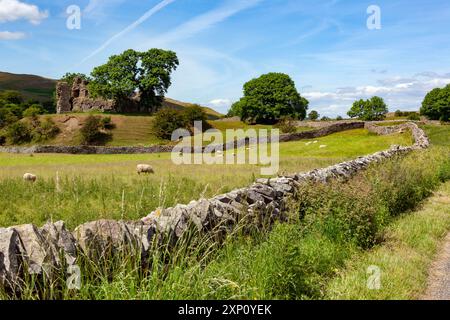Murs traditionnels en pierre sèche et terres agricoles dans les Yorkshire Dales, Angleterre, Royaume-Uni. Banque D'Images