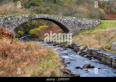 Le vieux pont de pierre sur une petite rivière connue sous le nom de brûlure de Latheronwheel près du port de Latheronwheel à Caithness, en Écosse. Banque D'Images