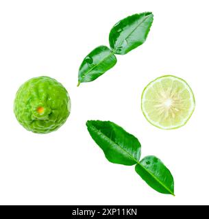 Vue de dessus ensemble de fruits frais de bergamote verte avec la moitié et les feuilles vertes est isolé sur fond blanc avec chemin de découpage. Banque D'Images