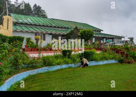 Aug2nd2024, Uttarakhand Inde. Un jardinier qui s'occupe de l'herbe et des mauvaises herbes à l'extérieur d'une famille d'accueil du gouvernement du patrimoine Kumaon Mandal Vikas Nigam (KMVN) à Ka Banque D'Images