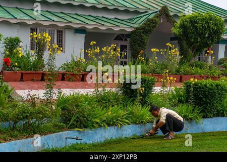 Aug2nd2024, Uttarakhand Inde. Un jardinier qui s'occupe de l'herbe et des mauvaises herbes à l'extérieur d'une famille d'accueil du gouvernement du patrimoine Kumaon Mandal Vikas Nigam (KMVN) à Ka Banque D'Images