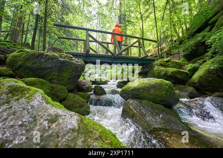 Une personne dans une veste orange se tient sur un pont en bois au-dessus d'un ruisseau qui coule dans une forêt luxuriante et verte avec des rochers couverts de mousse. Europe, Allemagne, Black F Banque D'Images