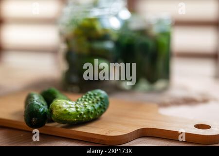 Préparation pour la fermentation de concombres frais par un procédé de marinage appelé fermentation lactique. De tels concombres fermentés ont une longue durée de conservation A. Banque D'Images