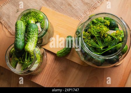 Préparation pour la fermentation des concombres par un procédé de marinage appelé fermentation lactique. De tels concombres fermentés ont une longue durée de conservation et le sont Banque D'Images