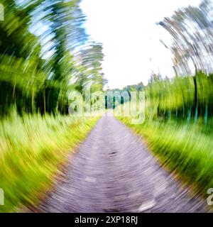 Un chemin serein et serein sinueux, magnifiquement entouré d'arbres verdoyants, invitant à la fois à l'exploration et à l'aventure Banque D'Images