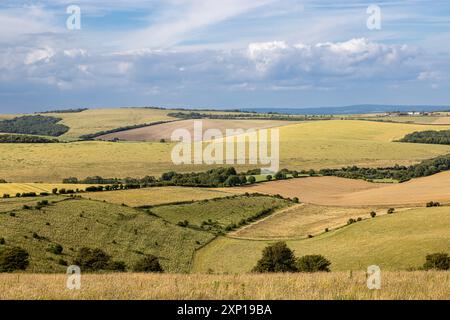 Vue sur un vaste paysage agricole de South Downs, par une journée d'été ensoleillée Banque D'Images