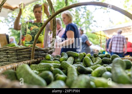 03 août 2024, Brandebourg, Golßen : des cornichons marinés se trouvent sur la table de vente d'un producteur régional à Gurkentag. Les producteurs du Brandebourg, pour la plupart de la région de Spreewald, vendent des produits régionaux à Gurkentag, qui se décrit comme un «festival du goût régional». Photo : Frank Hammerschmidt/dpa Banque D'Images