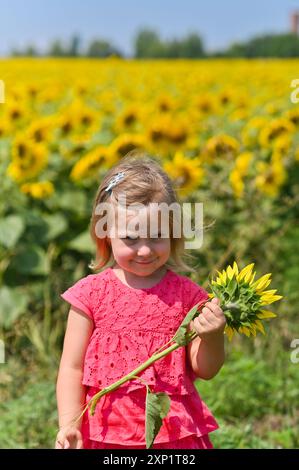 Une petite fille en tournesols Banque D'Images