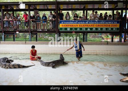 Nakhon Pathom, Thaïlande. 13 juillet 2024. Les touristes sont intéressés par la vue du spectacle de capture de crocodiles au milieu de l'excitation au Samphran Elephant Ground & Zoo, Nakhon Pathom Province, qui est à 37 kilomètres de Bangkok le 3 août 2024 en Thaïlande. (Photo de Teera Noisakran/Sipa USA) crédit : Sipa USA/Alamy Live News Banque D'Images