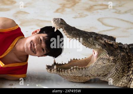 Un artiste se rapproche de la bouche béante d'un crocodile lors d'un spectacle au Samphran Elephant Ground & Zoo, dans la province de Nakhon Pathom, à 37 kilomètres de Bangkok le 3 août 2024 en Thaïlande. (Photo de Teera Noisakran/Sipa USA) crédit : Sipa USA/Alamy Live News Banque D'Images