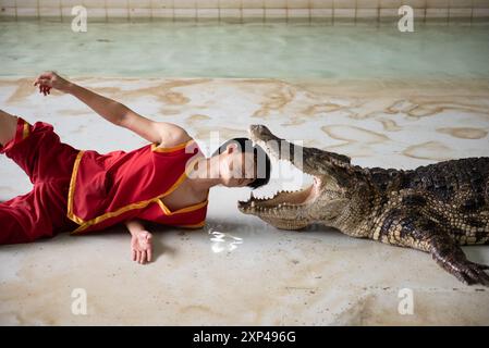 Un artiste se rapproche de la bouche béante d'un crocodile lors d'un spectacle au Samphran Elephant Ground & Zoo, dans la province de Nakhon Pathom, à 37 kilomètres de Bangkok le 3 août 2024 en Thaïlande. (Photo de Teera Noisakran/Sipa USA) crédit : Sipa USA/Alamy Live News Banque D'Images