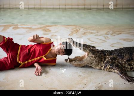 Un artiste se rapproche de la bouche béante d'un crocodile lors d'un spectacle au Samphran Elephant Ground & Zoo, dans la province de Nakhon Pathom, à 37 kilomètres de Bangkok le 3 août 2024 en Thaïlande. (Photo de Teera Noisakran/Sipa USA) crédit : Sipa USA/Alamy Live News Banque D'Images