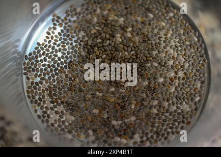 graines de chia saines flottant dans l'eau avant consommation Banque D'Images