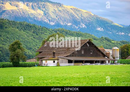 Vue panoramique d'une ferme laitière près du village d'Alpnach en Suisse centrale. Belles montagnes ensoleillées en arrière-plan. Banque D'Images