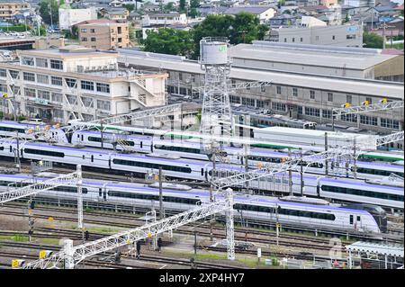 Vue aérienne de la gare avec des trains japonais sur les voies ferrées Banque D'Images