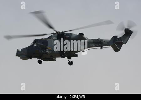 Le ZZ381, un AgustaWestland Wildcat HMA2 exploité par la Royal Navy, arrive à la RAF Fairford dans le Gloucestershire, en Angleterre, pour participer au Royal International Air Tattoo 2024 (RIAT 2024). Banque D'Images