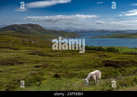 Côte Atlantique avec Summer Isles, Isle Ristol et Eilean Mullagrach près de Village Altandhu dans les Highlands d'Écosse, Royaume-Uni Banque D'Images