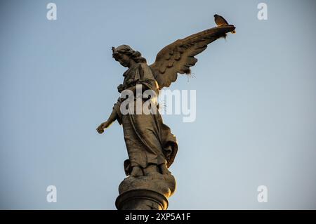 Statue d'ange majestueuse sur piédestal, oiseau sur aile, ciel bleu clair en toile de fond Banque D'Images