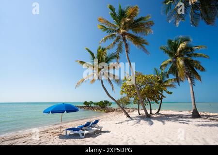 Scène de plage de l'île tropicale avec chaises longues de plage, parasol, palmiers et océan. Banque D'Images