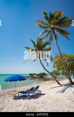 Scène de plage de l'île tropicale avec chaises longues de plage, parasol, palmiers et océan. Banque D'Images