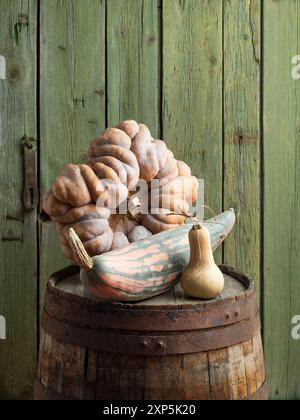 Récolte de citrouille au Butternut chinois et courge d'hiver Candy Roaster sur un tonneau en bois Banque D'Images