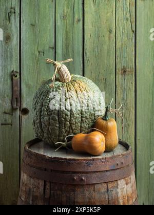 Nature morte de Crespo Squash et Butternut Pumpkins sur un tonneau rustique sur un fond vert Banque D'Images