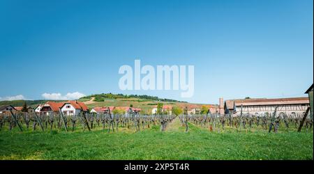 Vue panoramique sur la route des vins en Alsace, avec des collines couvertes de rangées de vignes et des villages pittoresques nichés entre eux, mettant en valeur le pays viticole renommé de la région et le paysage charmant Banque D'Images