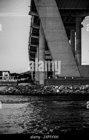 Capture monochrome à la vue sur l'eau sous le pont historique Arthur Ravenel Jr à Charleston, SC Banque D'Images