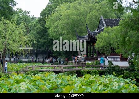 Suzhou, Chine - 11 juin 2024 : Un pont de pierre sur un étang rempli de feuilles de lotus mène à un pavillon chinois traditionnel dans l'humble Administrato Banque D'Images