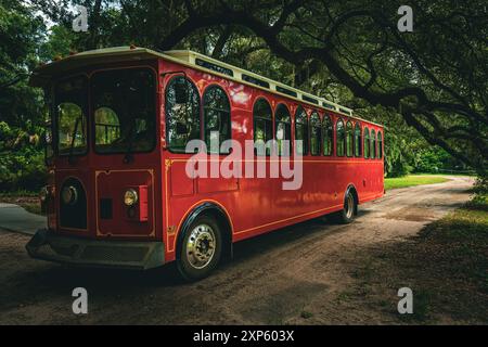 Bus ou trolley rouge rétro garé sous de beaux chênes vivants à Charleston en Caroline du Sud Banque D'Images